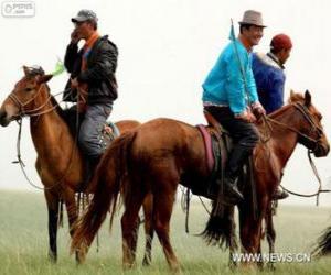 yapboz Xilingol at, Moğolistan